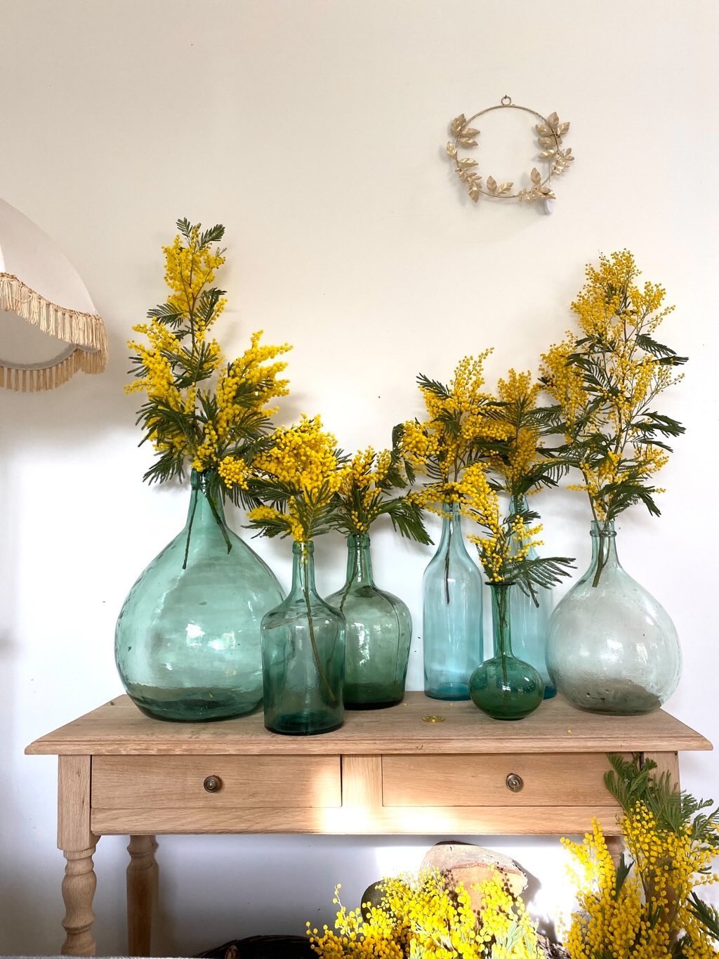 Art de vivre à la française, bouquets de mimosa