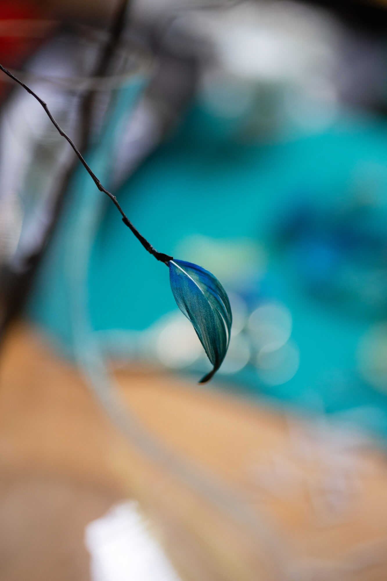 Focus sur une plume teinte en bleu par une artisane plumassière