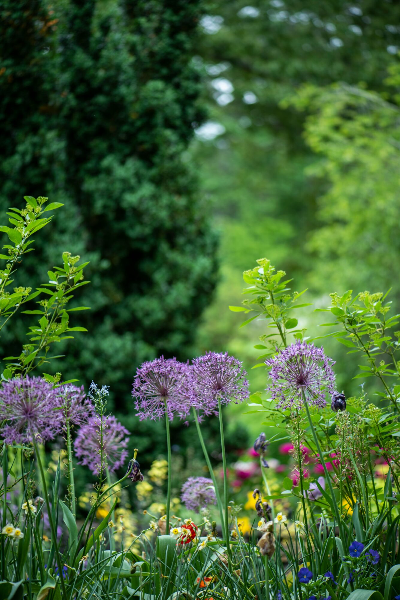 Jardin d'Eden - inspiration d'une artisane