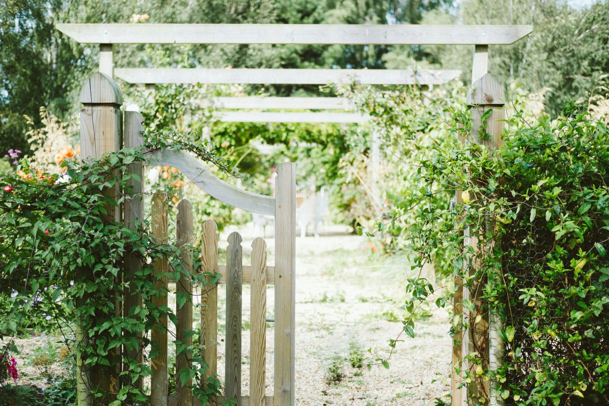 Une porte ouverte sur un jardin d'artiste inspirant